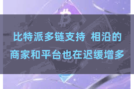 比特派多链支持  相沿的商家和平台也在迟缓增多